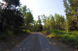 CRAIG GOLD, Placer Mining Claim, Falls River, Fremont County, Idaho