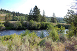 CRAIG GOLD, Placer Mining Claim, Falls River, Fremont County, Idaho