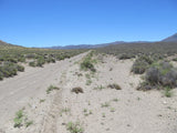 DELTA MINE, Lode Mining Claim, Fallon, Churchill County, Nevada