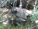 GOLDEN STAR Mining Claim, Lone Pine, Inyo County, California