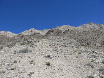 SILVER STAGE MINE, Lode Mining Claim, Fallon District, Churchill County, Nevada