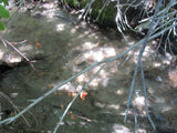 GOLDEN STAR Mining Claim, Lone Pine, Inyo County, California