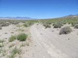 DELTA MINE, Lode Mining Claim, Fallon, Churchill County, Nevada