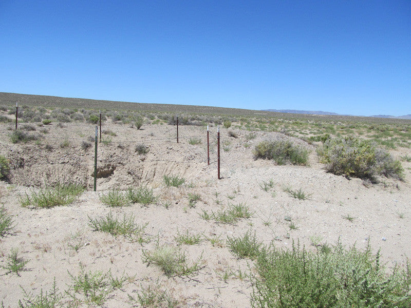 DELTA MINE, Lode Mining Claim, Fallon, Churchill County, Nevada