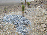 GEORGIA MINE Lode Mining Claim, Silver Peak, Esmeralda County, Nevada