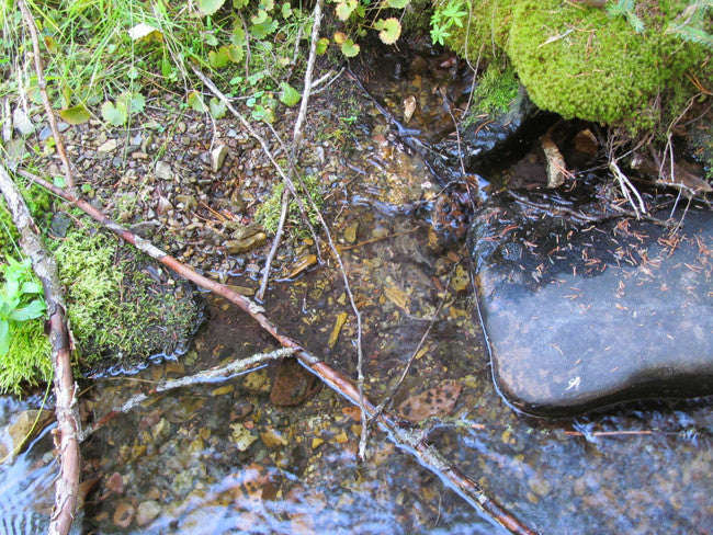 KASHMIR SAPPHIRE Placer Mining Claim, Beaver Creek, Granite County, Montana