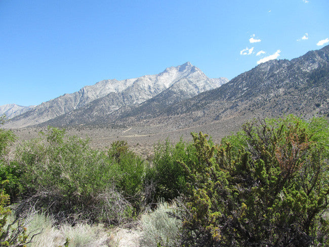 GOLDEN STAR Mining Claim, Lone Pine, Inyo County, California