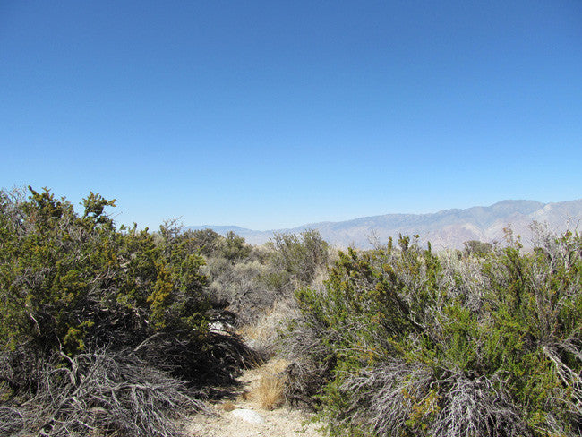 GOLDEN STAR Mining Claim, Lone Pine, Inyo County, California