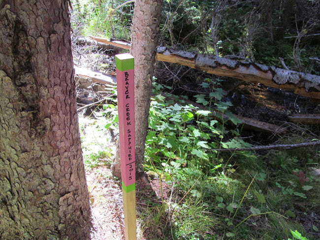 KASHMIR SAPPHIRE Placer Mining Claim, Beaver Creek, Granite County, Montana