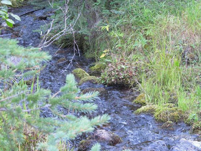 ALAXANDRITE SAPPHIRE Placer Mining Claim, Beaver Creek, Granite County, Montana