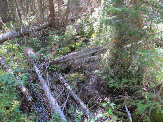 KASHMIR SAPPHIRE Placer Mining Claim, Beaver Creek, Granite County, Montana