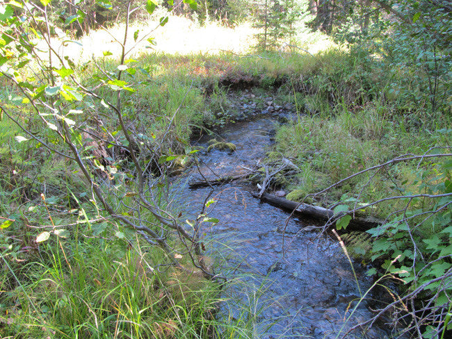 KASHMIR SAPPHIRE Placer Mining Claim, Beaver Creek, Granite County, Montana