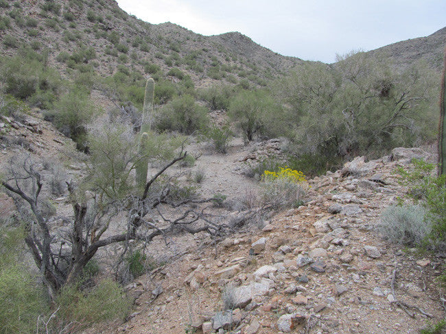 Wenden Arizona Placer Claim 20 Acres YELLOW RIVER MINE