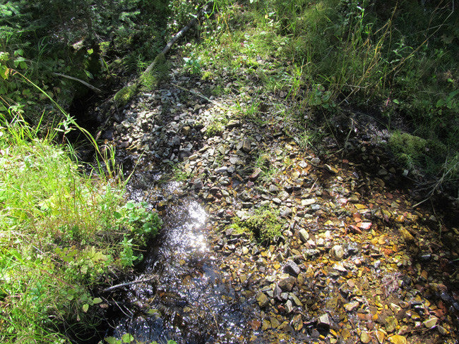 KASHMIR SAPPHIRE Placer Mining Claim, Beaver Creek, Granite County, Montana