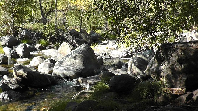 LONG WALK Placer Mining Claim, Mineral King Mining District, Tulare County, California