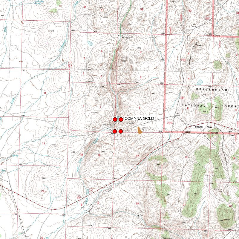 COMYNA GOLD Placer Mining Claim, Taylor Creek, Beaverhead County, Montana