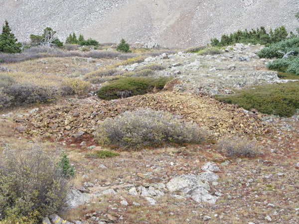 BLUE MOON Mine Placer Claim in Colorado, Mt Antero