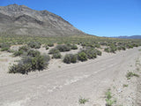 DELTA MINE, Lode Mining Claim, Fallon, Churchill County, Nevada